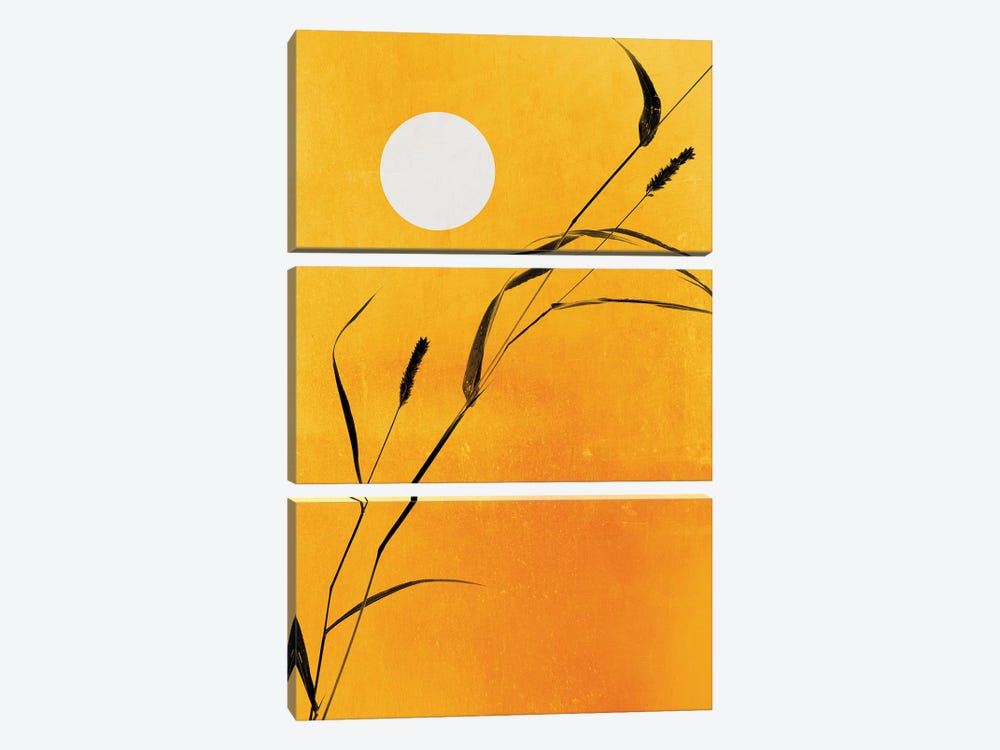 Sunny Side by Kubistika 3-piece Canvas Art