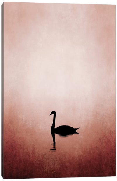 Swan Lake Canvas Art Print - Black & Pink