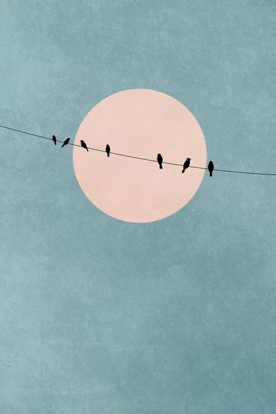 The Beauty Of Silence