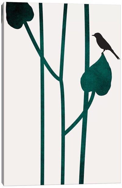 The Bird Canvas Art Print - Green with Envy