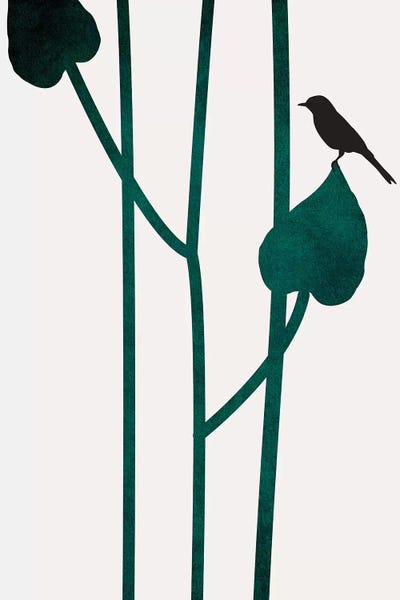 The Bird