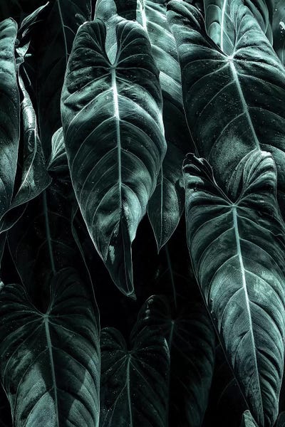 The Jungle by Kubistika framed canvas print