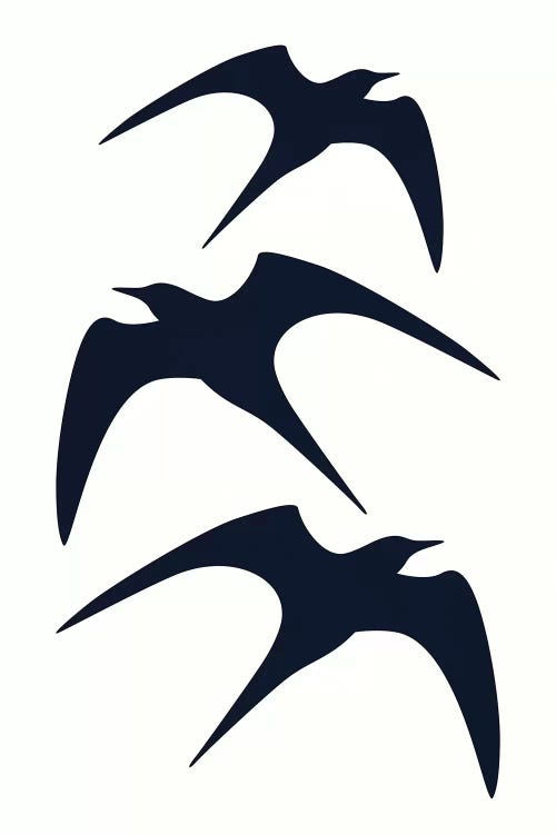 Three Birds