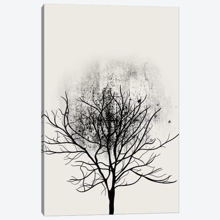 Tree Study No.3 Canvas Print #KUB86} by Kubistika Canvas Wall Art