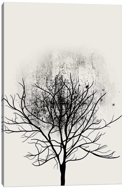 Tree Study No.3 Canvas Art Print - Kubistika