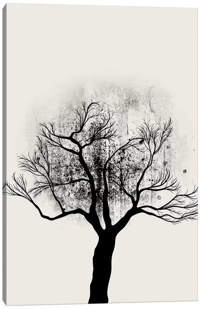 Tree Study No.5 Canvas Art Print - Kubistika