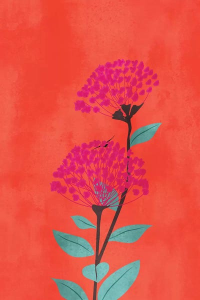 Minimalist Flowers: Tropical Sunset by Kubistika