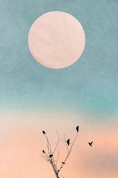 Waking Up Warm by Kubistika canvas print