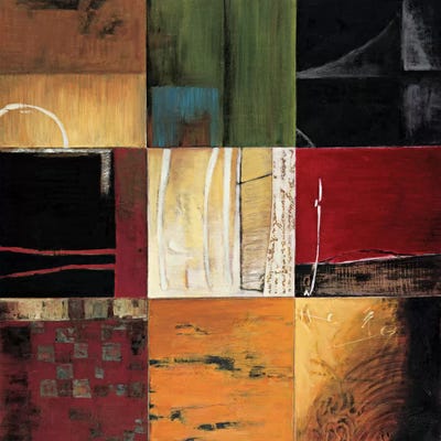 Compartments I by Kurt Morrison canvas print