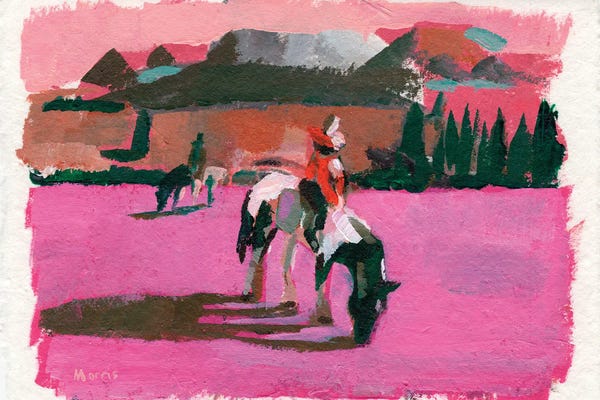 Pink Fields