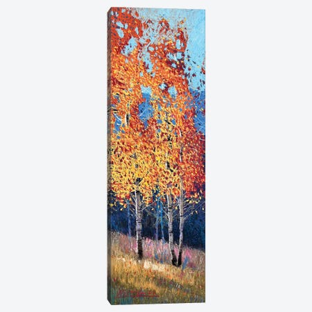Autumn Birches Canvas Print #KVK3} by Andrii Kovalyk Canvas Print