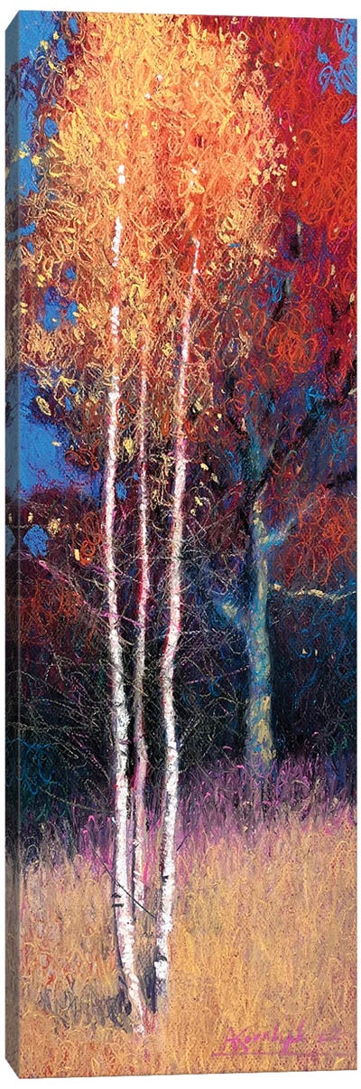 Autumn Canvas Art Print - Birch Tree Art