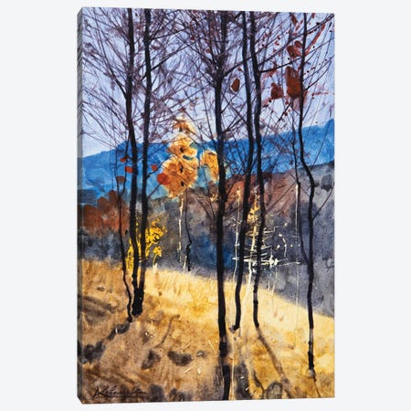 Autumn Carpathians Landscape Canvas Print #KVK58} by Andrii Kovalyk Canvas Print