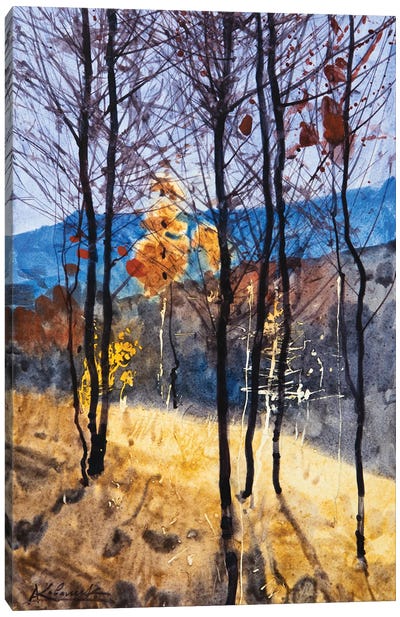 Autumn Carpathians Landscape Canvas Art Print - Artists From Ukraine