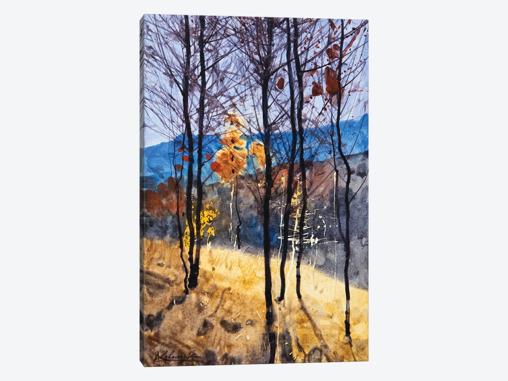 Autumn Carpathians Landscape by Andrii Kovalyk 1-piece Canvas Art
