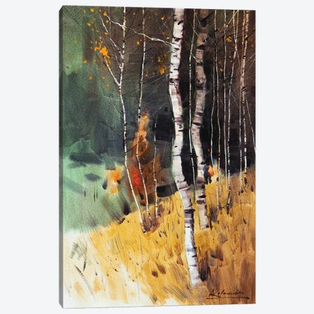 Autumn Landscape With Birches Trees Canvas Print #KVK79} by Andrii Kovalyk Art Print