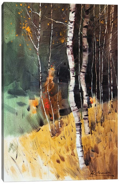 Autumn Landscape With Birches Trees Canvas Art Print - Andrii Kovalyk