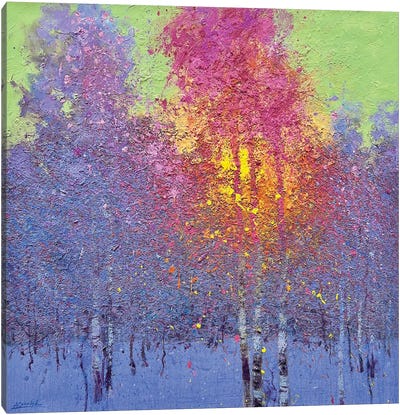 Four Seasons. Winter Canvas Art Print - Aspen and Birch Trees