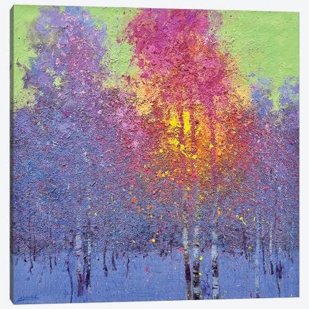 Four Seasons. Winter Canvas Print #KVK91} by Andrii Kovalyk Canvas Print