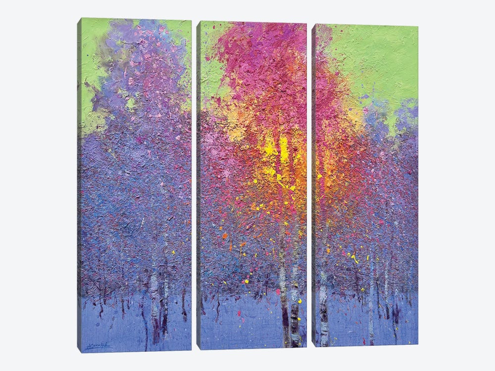 Four Seasons. Winter by Andrii Kovalyk 3-piece Canvas Print