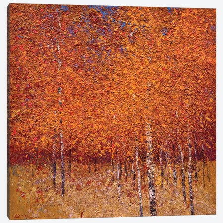 Four Seasons. Autumn Canvas Print #KVK94} by Andrii Kovalyk Canvas Art
