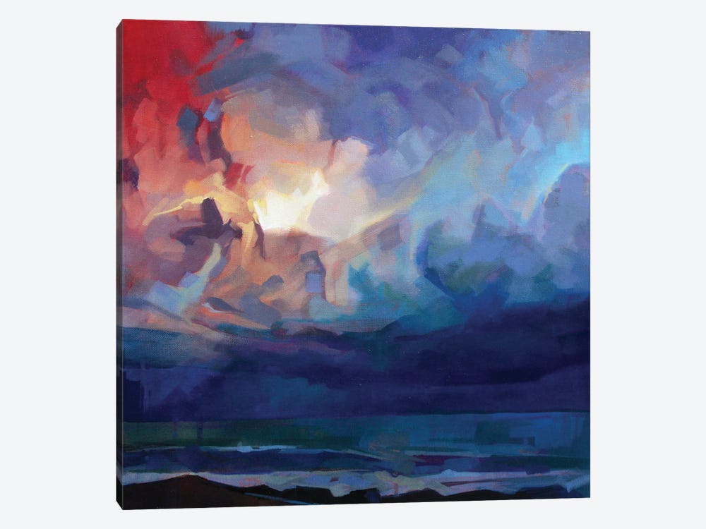 Pampa, Storm Fionn by Kevin Lowery 1-piece Canvas Art