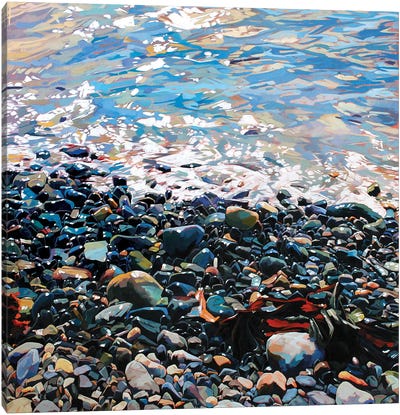 Pebbles Canvas Art Print - Ocean Treasures