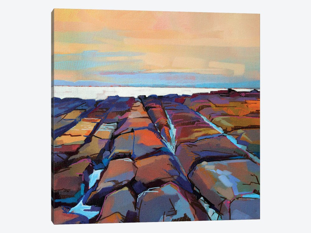 Rocks At Pampa III by Kevin Lowery 1-piece Canvas Print