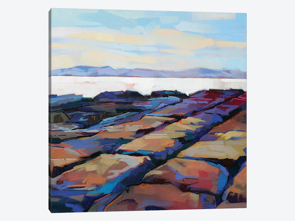 Rocks At Pampa IV by Kevin Lowery 1-piece Canvas Artwork