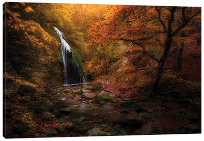 Djur-Djur Waterfall Canvas Art Print - 1x Floral and Botanicals