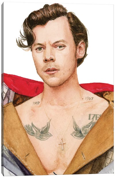 Harry Styles Canvas Art Print - Harry Styles