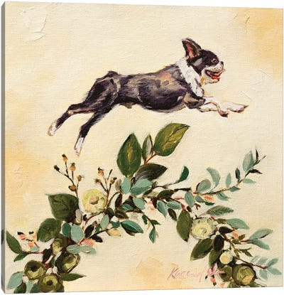 Leap Of Faith Canvas Art Print - French Bulldog Art