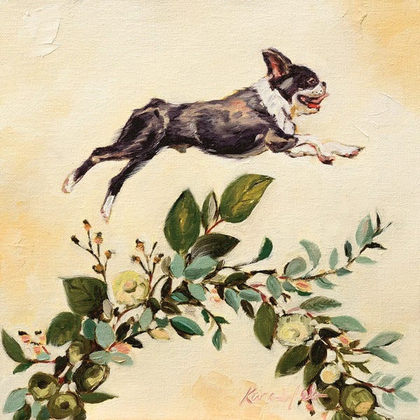 French Bulldogs: Leap Of Faith by Karen Weber