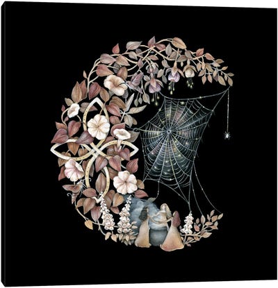 Dancing Moon Canvas Art Print - Spider Web Art