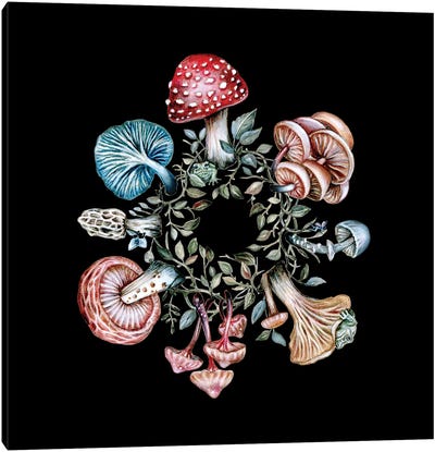 Fairy Ring Canvas Art Print - Mushroom Art
