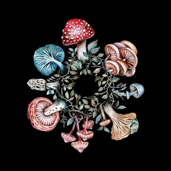 Fairies: Fairy Ring by Kimera Wachna