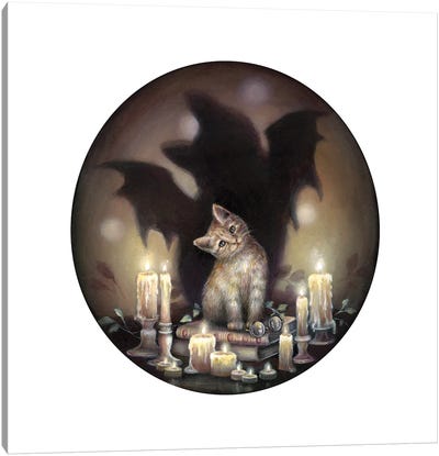 If I Were A Batcat Canvas Art Print - Mysticism