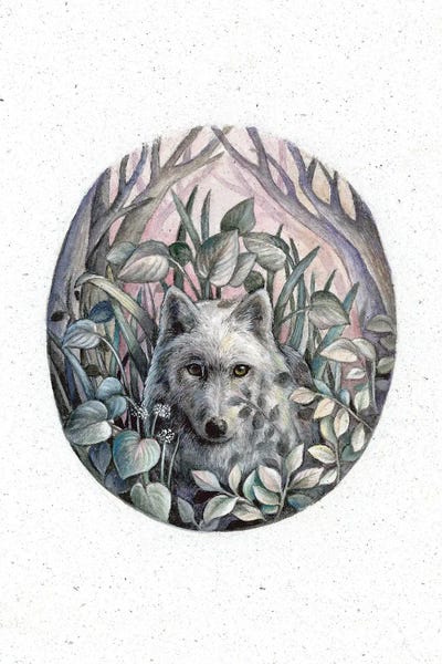 Last Light by Kimera Wachna gallery poster