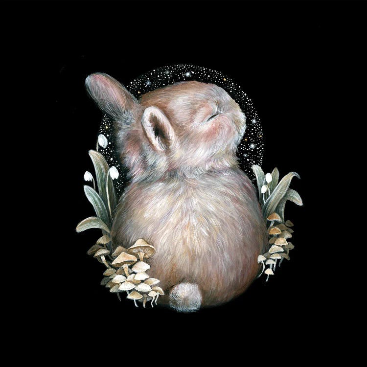 Little Dreamer by Kimera Wachna wall art