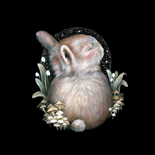 Rabbits: Little Dreamer by Kimera Wachna