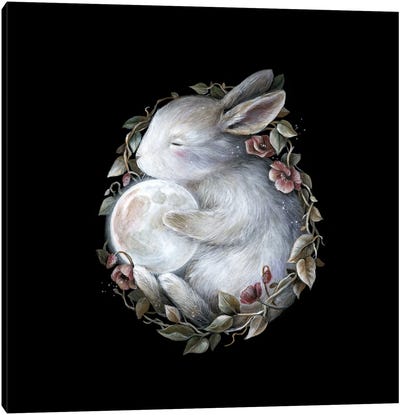 Lunar Rabbit Canvas Art Print - Kimera Wachna