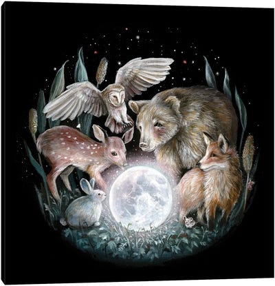 Moon Secrets Canvas Art Print - Natural Meets Mythical