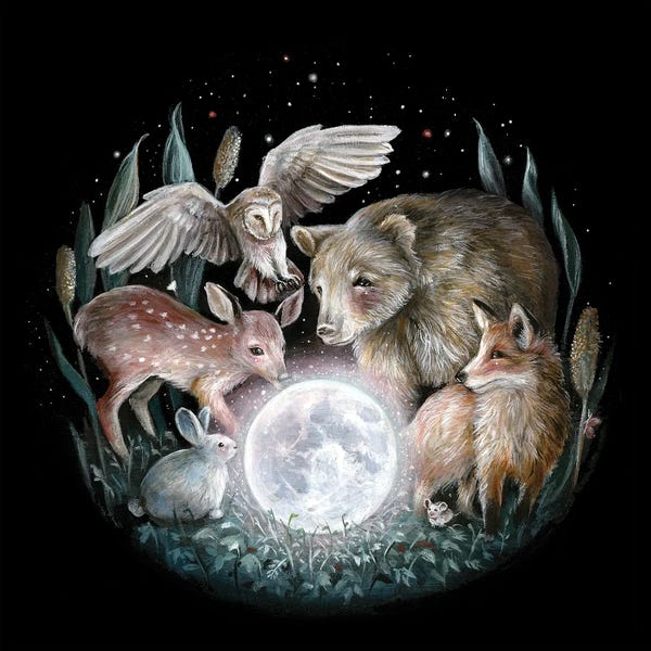 Natural Meets Mythical: Moon Secrets by Kimera Wachna