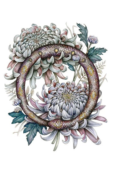 Snakes: Ouroboros by Kimera Wachna