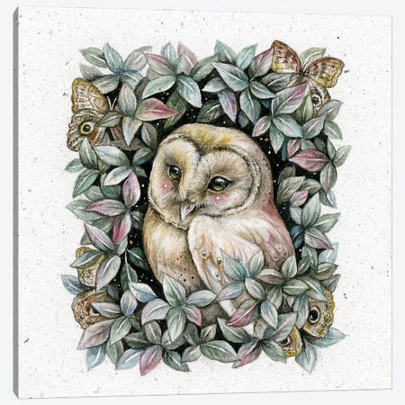 Owl And Owl Moth Canvas Print #KWC29} by Kimera Wachna Canvas Print