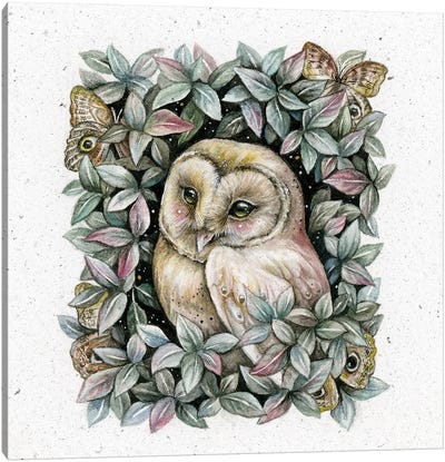 Owl And Owl Moth Canvas Art Print - Kimera Wachna