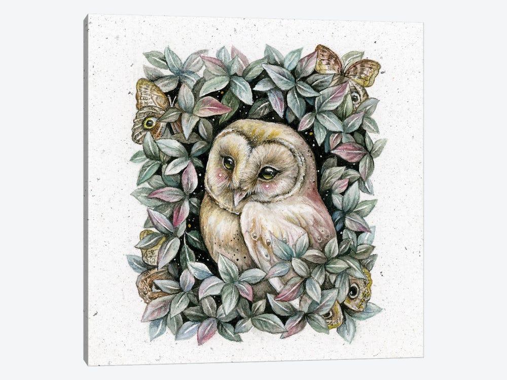 Owl And Owl Moth by Kimera Wachna 1-piece Canvas Art Print