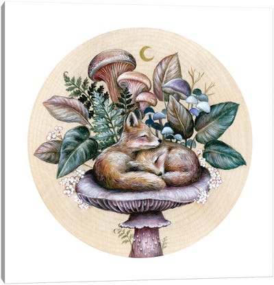 Sleeping Foxes Canvas Art Print - Vegetable Art