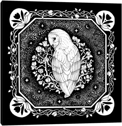 Starry Owl With Vines Canvas Art Print - Mysticism