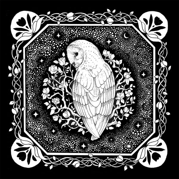 Black & White Drawings & Illustrations: Starry Owl With Vines by Kimera Wachna